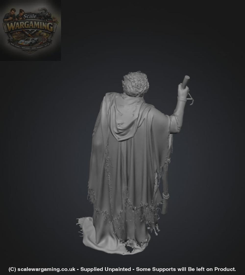 SW2181 Ancient Pilgrim - Figure