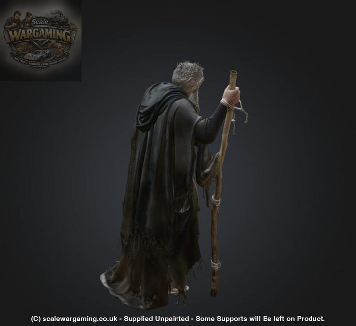 SW2181 Ancient Pilgrim - Figure