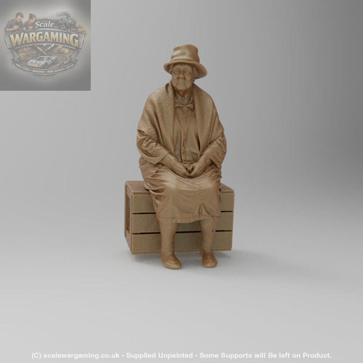 SW8177 Pensioner resting on Box - Figure