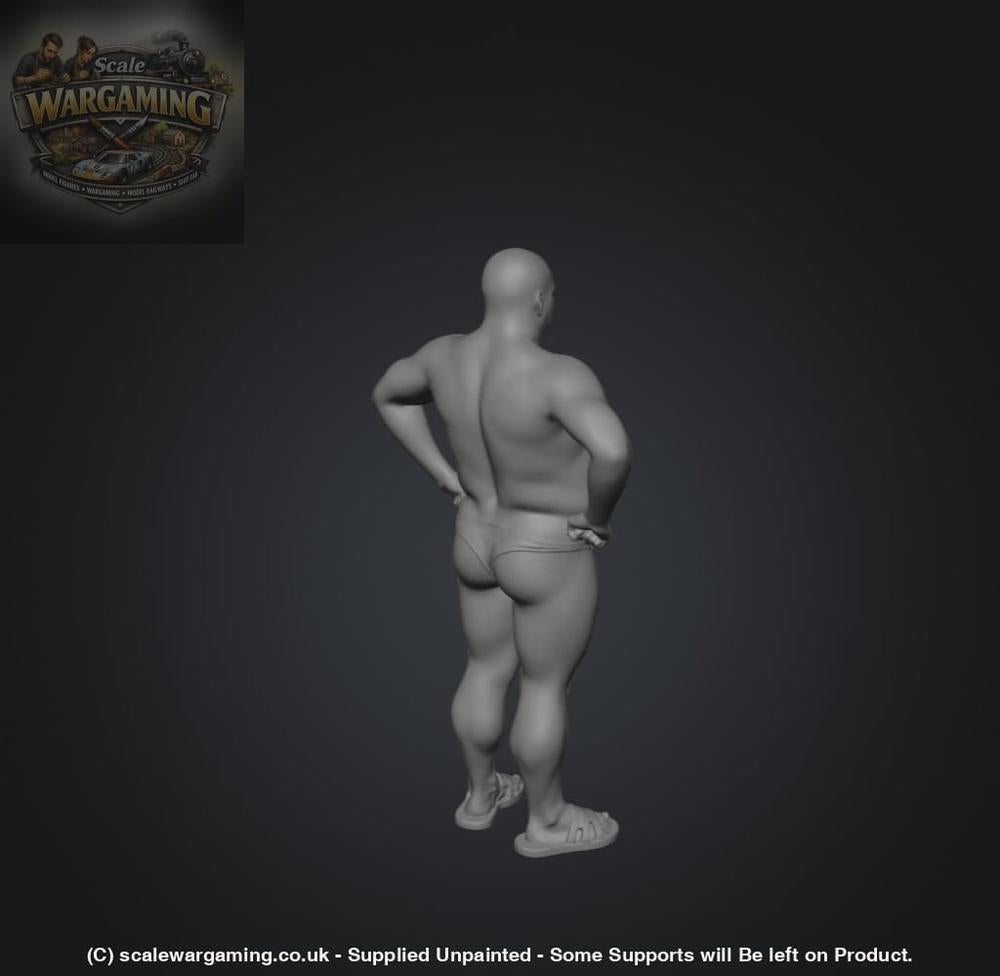 SW9219 Male Budgie Smuggler - Figure