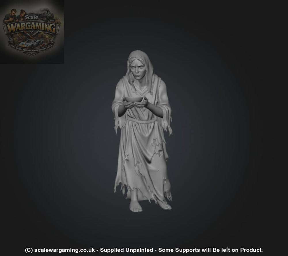SW9231 Female Begger - Figure
