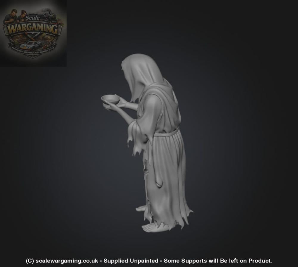 SW9231 Female Begger - Figure