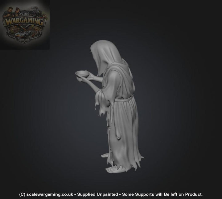 SW9231 Female Begger - Figure