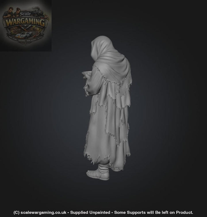 SW9233 Male Begging - Figure