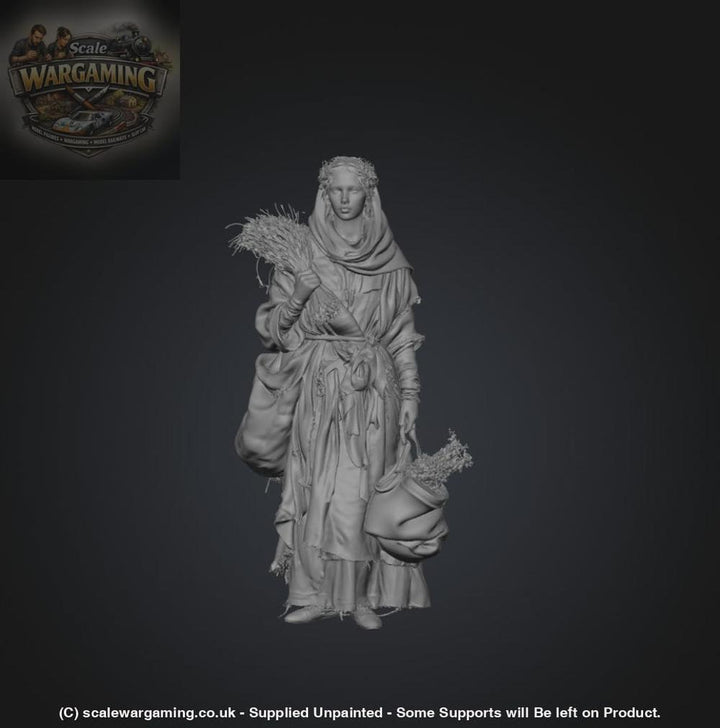 SW9248 Medieval Girl selling Herbs - Figure